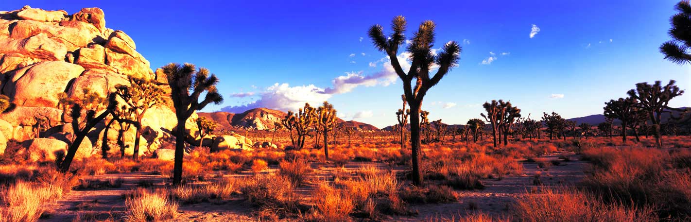 Panoramic Fine Art Photography ~ Panorama Landscape Photo Images ~ Hidden Valley, Joshua Tree National Park