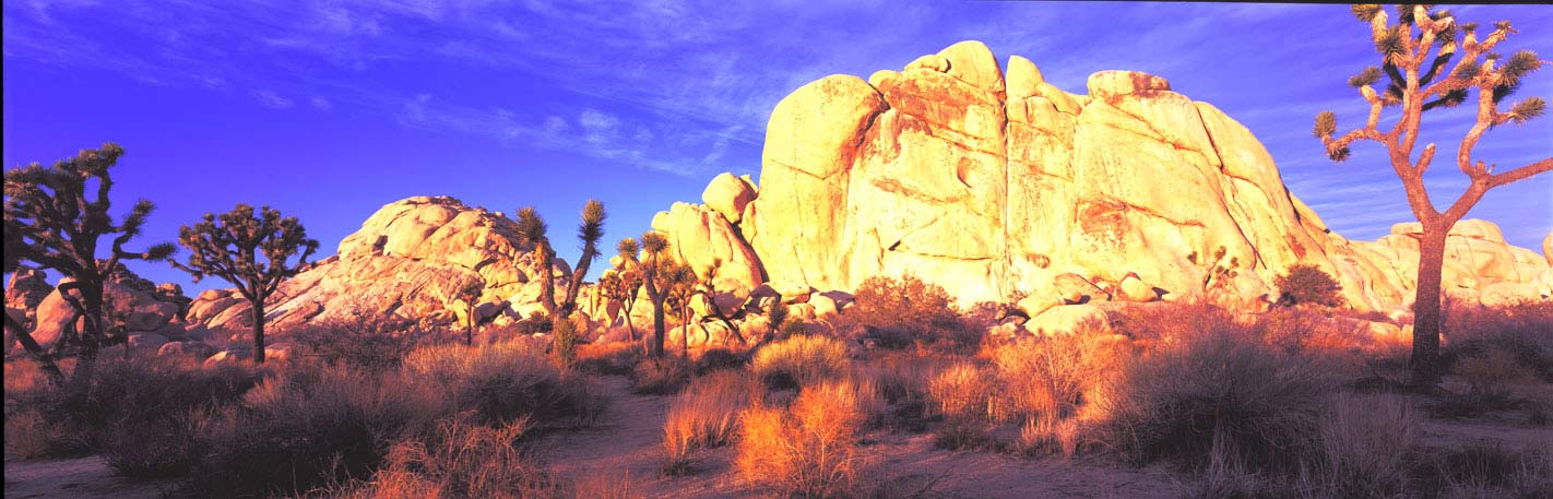 Panoramic Fine Art Photography ~ Panoramic Landscape Photo Gallery ~ Golden Glow at Hidden Valley, Joshua Tree National Park